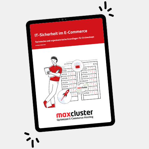 maxcluster e-Book zum Thema IT Sicherheit
