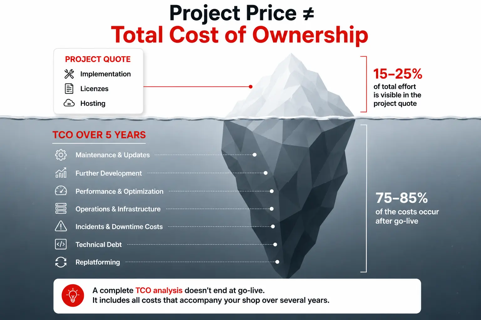 Project Price vs. Total Cost of Ownership (TCO) Infographic: The project price accounts for only a small share of the Total Cost of Ownership. The largest costs arise after go-live through operations, maintenance, further development, and replatforming.