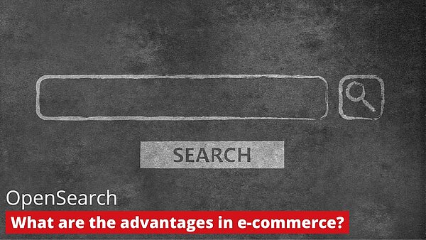OpenSearch – What are the advantages in e-commerce?