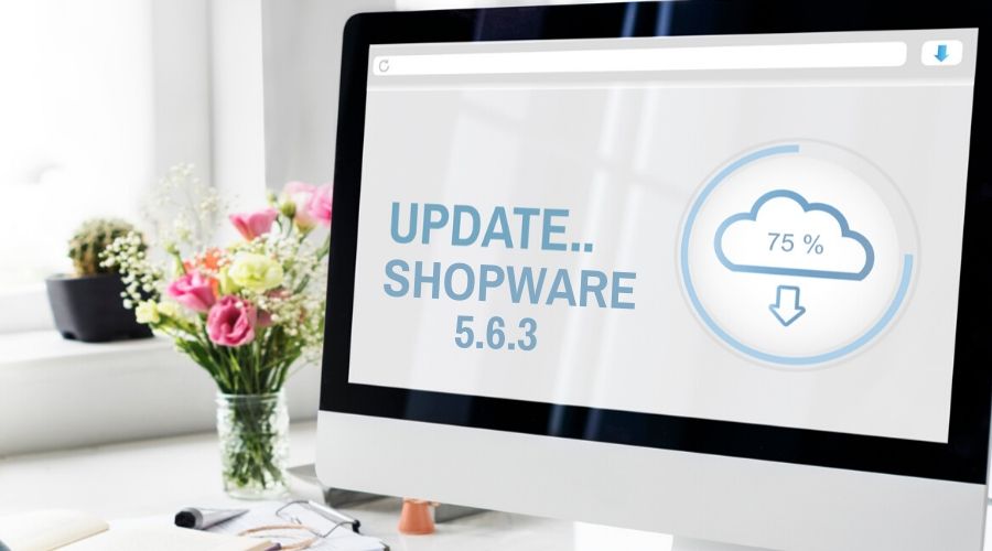 Update Shopware 5.6.3