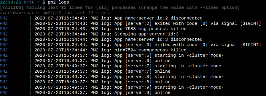Output of the Node.js processes in the PM2 folder