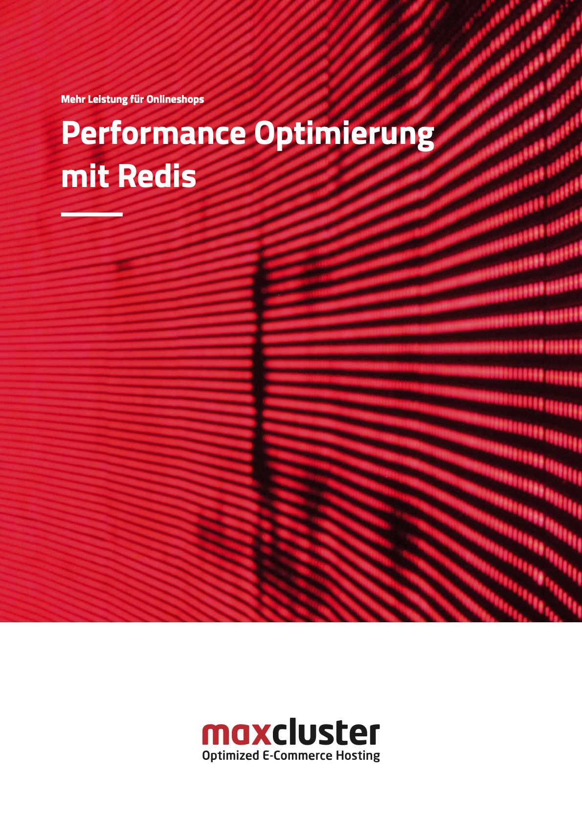 Performance-Optimierung mit Redis