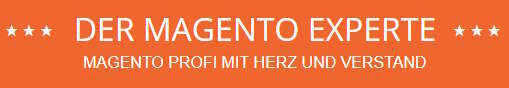 Der Magento Experte